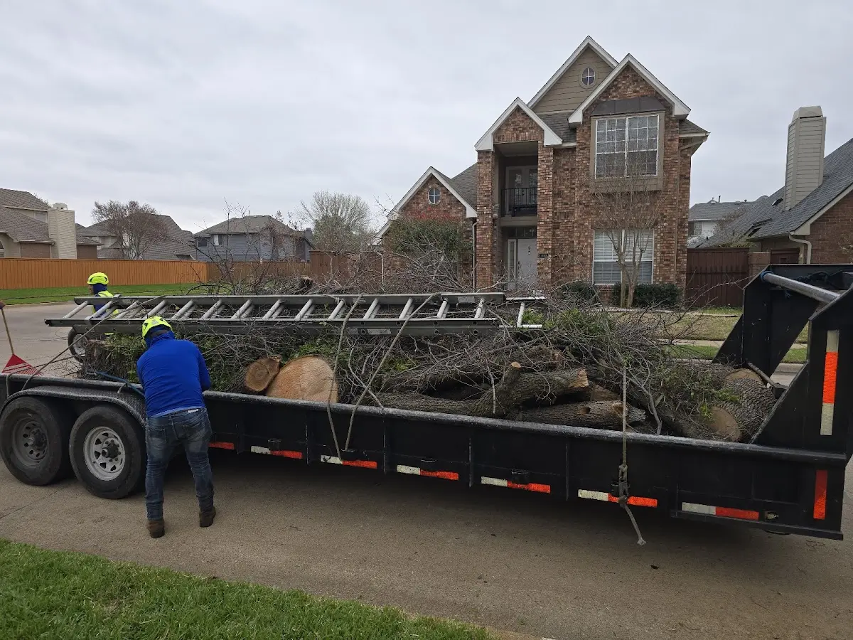 Expert Tree Fertilization with proper safety equipment in Joinerville